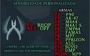 Script csgo PRORECOIL privado, gc esea... PROMOÇÃO