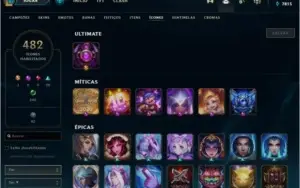 699 Skin plat 2