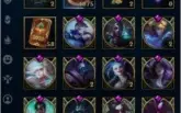 699 Skin plat 2