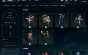 699 Skin plat 2