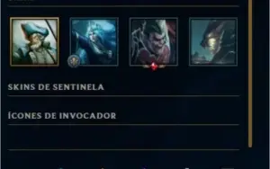 CONTA PLATINA 4 FULL SKIN