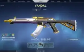 VENDO CONTA DE VALORANT !