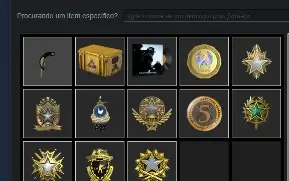 Conta CS2 com 10 medalhas 7 anos 1230 horas 23 jogos