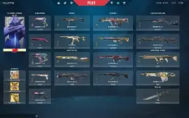 CONTA BUNDLE VALORANT + LOL + WR TOTAL GASTO 12K