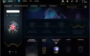 Conta unranked ( LEVEL 28 com 30 champs e 10 skins
