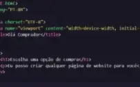 Desenvolvedor FRONT-END (Crio qualquer página para você)