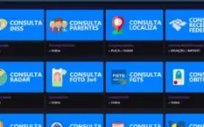 PAINEL CONSULTA DADOS! #TOP 1 ( PLANO DIÁRIO )