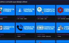 PAINEL CONSULTA DADOS! #TOP 1 ( PLANO DIÁRIO )