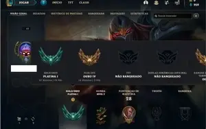 Conta Platina 1 com 25 Champs e 2 Skins ( 79 PDL )