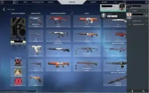 Conta Valorant 514 reais investidos (butterfly, sublime,etc)
