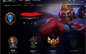 Conta Gold 5