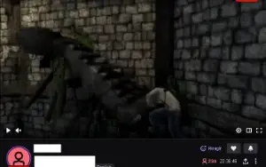 Dois Bot Viewers para Twitch - Entrega Imediata