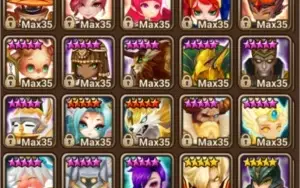CONTA SW GLOBAL, C1+, 28NAT5 (tirando fusão)