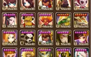 CONTA SW GLOBAL, C1+, 28NAT5 (tirando fusão)