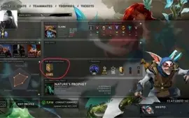 CONTA DOTA 2 DIVINE COM ARCANAS, PERSONAS, ITENS EXCLUSIVOS