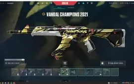 Conta de valorant antiga e com skins champions 2021