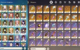 23 Chars T5 + 16 Armas T5 + Skin Ayaka E Keqing + Star Rail