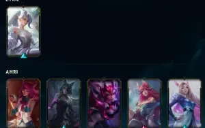 Conta main suporte full acesso