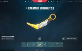 Conta de Valorant Muitas Skins