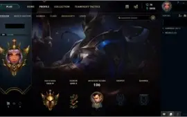 CONTA OURO 4 (36 campeões e 9 skins)
