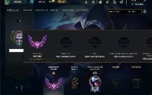 Mestre com 25 Champs e 15 Fragmentos de Skins