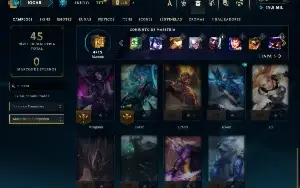 Mestre com 25 Champs e 15 Fragmentos de Skins