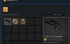 9 anos Steam, 14 Jogos, Insignia Lealdade e Medalha 5 anos