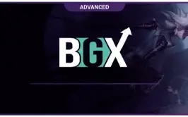 Bgx Key Windows - 30 Dias