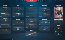 Conta Valorant Lvl 177 C/Muitíssimas Skins - Full Acesso
