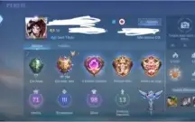 Continha incrível, com skins raras