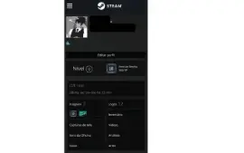 CONTA STEAM - MEDALHAS RARAS! CRIADA HÁ 22 ANOS! DESDE 2004!