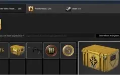 Conta Steam 16 anos Prime cs go + 47 Jogos