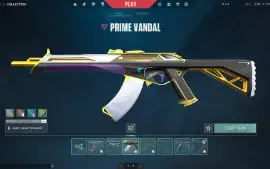 Conta Valorant Xenohunter Karambit Saqueadora Prelúdio e mt+