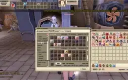 Arquimago Lv75 com muitos Itens e outros chars