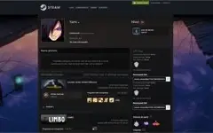 Conta de Steam de 6 medalha de 5 anos CSGO