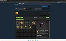 Conta de Steam de 6 medalha de 5 anos CSGO