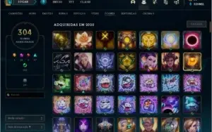 CONTA D1 1105 SKINS 329K EA