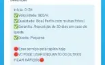 Lucre muito com o painel de seguidores, visualização e etc