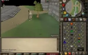 Conta Old School Runescape Quest Cape + 30M CBT 107