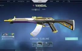 CONTA VALORANT - MUITAS SKINS (R$563 GASTOS)