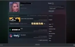 VENDO CONTA LV19 GC, AK2 E CSGO PRIME