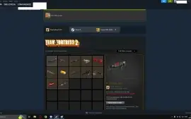 Conta Quase 3 Anos Steam 400 Horas Cs Go Com Prime