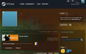 Cs2 Prime Lvl 15 Gc +2000 Horas Primeiro Email Skins De Ak47