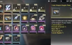 Conta Wuthering Waves Jinhsi/Zhezi Rank 46/Databank Rank 21