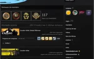 CONTA STEAM 14 ANOS COM 4 MEDALHAS, 100 REAIS EM CAIXAS CSGO