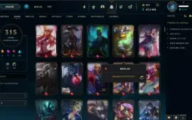 conta lol/valorant com bastante skin