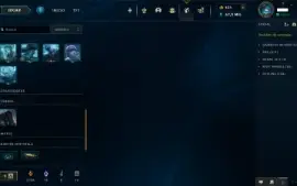conta lol/valorant com bastante skin