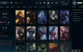 conta lol/valorant com bastante skin