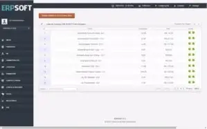 Sistema ERP