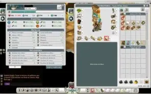 Conta Wakfu Cra 200/ Feca 199/ Zobal 199